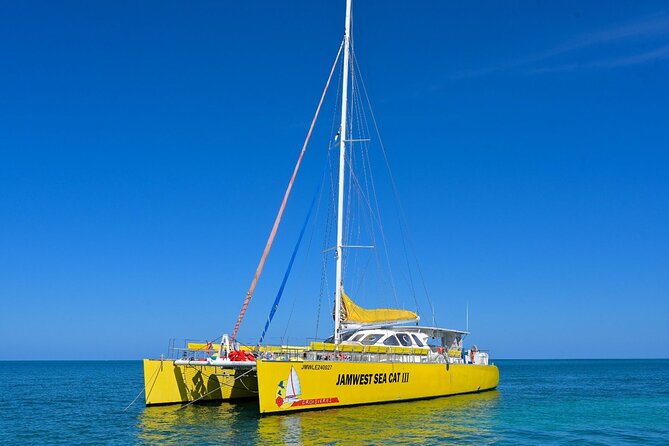Party Catamaran Sunset Ricks Cafe Negril Open Bar and DJ - Snorkeling at the coral reef, plus a possible dolphin bonus