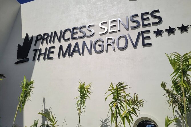 Princess Senses The Mangrove Airport Transfers - Who This Transfer Is Best For