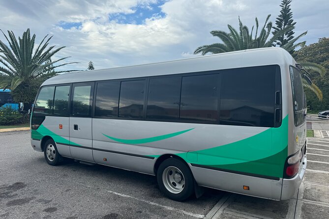 Private Airport Transfer from MBJ to Ocean Eden Bay - Who this transfer suits best (and who might not love it)