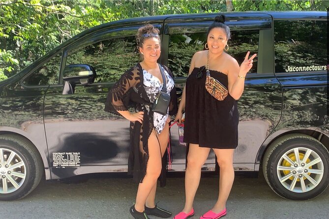 Private Airport Transfer to Excellence, Ocean Coral and Royalton - Getting Picked Up at Sangster International Airport, Without the Guesswork