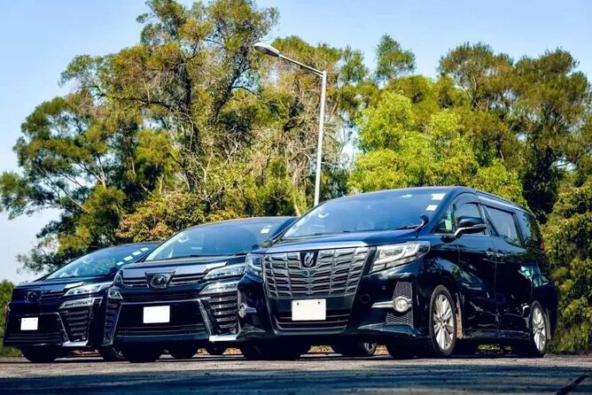 Private Airport Transfer to Lady Hamilton and Grand Palladium - Key things to know before you go