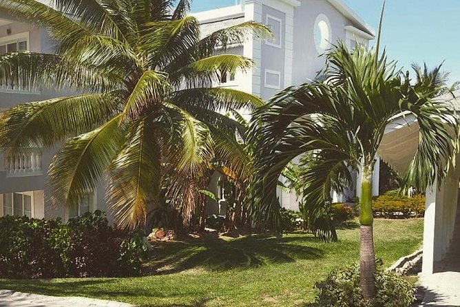 Private Airport Transfer to Lady Hamilton and Grand Palladium - How the optional rest stop works, and how to plan it