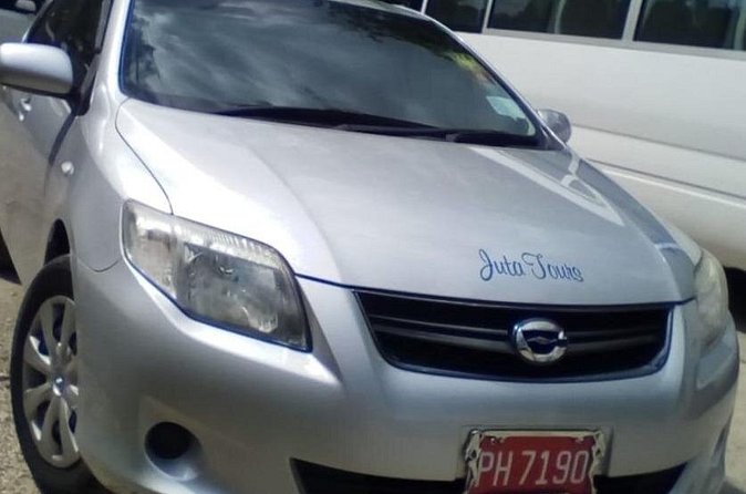 Private Airport Transfers to Negril Hotels - Who should book this Negril airport transfer?