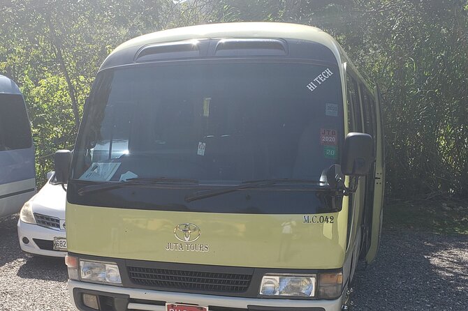 Private Airport Transfers To Negril Hotels and Villas - Who Should Book This Transfer