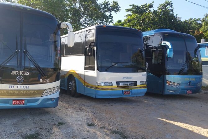 Private Airport Transfers To Negril Hotels and Villas - Comfort Check: Air-Conditioning, WiFi, and Cold Drinks
