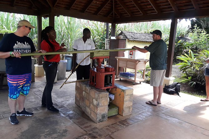 Private Appleton Estate Rum and Pelican Bar Tour from Montego Bay - The Day at a Glance, Including the 8-Hour Timing