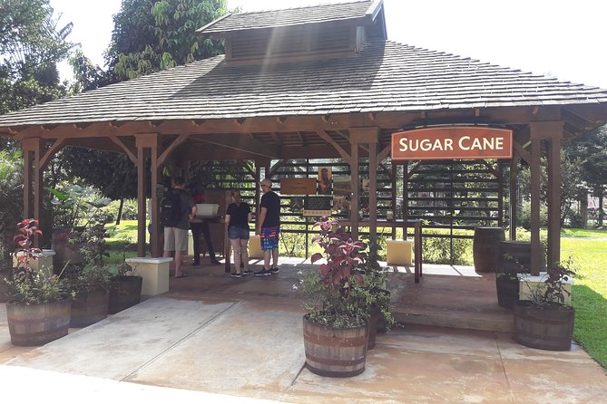 Private Appleton Estate Rum and Pelican Bar Tour from Montego Bay - Stop 1: The Joy Spence Appleton Estate Rum Experience (2 Hours)