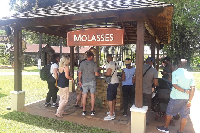 Private Appleton YS Falls and Black River Tour from Montego Bay - Key Highlights You’ll Actually Care About