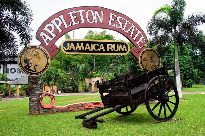 Private Appleton YS Falls and Black River Tour from Montego Bay - A Private Montego Bay Route That Hits Rum, Waterfalls, and Crocs