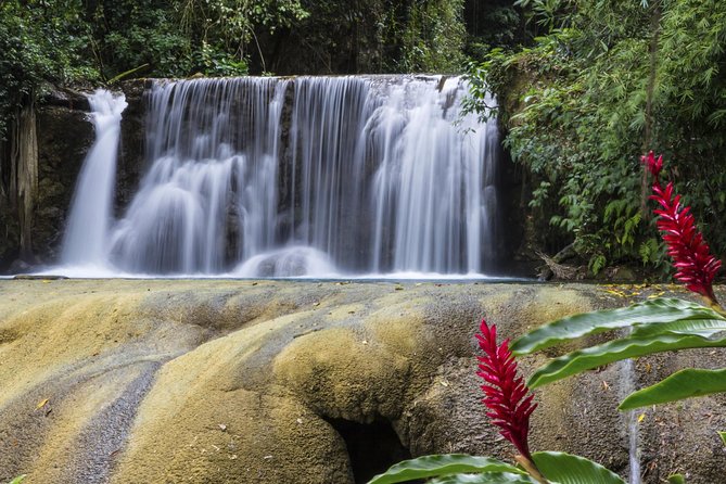 Private Appleton YS Falls and Black River Tour from Montego Bay - Price of $270 Per Person: Is It Worth It?