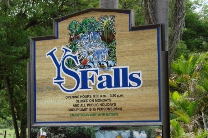 Private Appleton YS Falls and Black River Tour from Montego Bay - Best For: Who Should Book This Tour