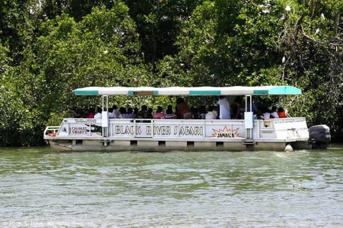 Private Appleton YS Falls and Black River Tour from Montego Bay - Start Time at 7:00 am and the 8-Hour Reality