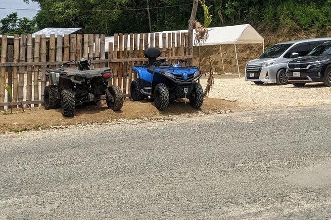 Private ATV Ride 7 Mile Beach & Rick’s Café Negril Tour - Rick’s Cafe at sunset: drinks, cliff jumps, and showtime
