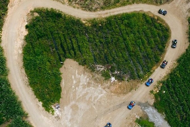 Private ATV Ride 7 Mile Beach & Rick’s Café Negril Tour - Private transportation that actually makes the trip easier