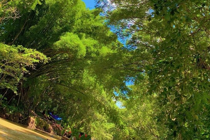 Private Bamboo River Rafting & Foot Massage from Montego Bay - Price and Value: Is $65 Worth It?