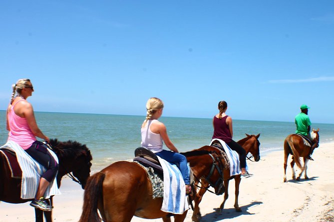 Private Beach Horseback Riding from Ocho Rios - Why This Private Horse Ride Feels Worth Your Time