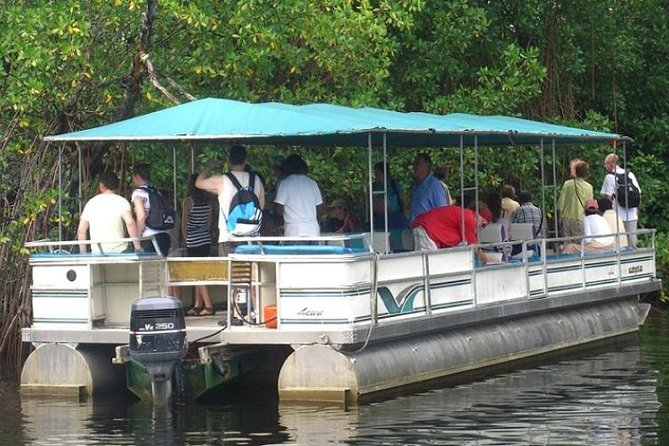 Private Black River Safari Tour from Montego Bay - Key Highlights You’ll Actually Care About