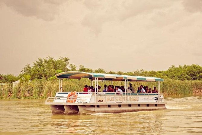 Private Black River Safari Tour from Montego Bay - The Shaded Open-Air Boat Ride: Birds, Crocodiles, and Real Commentary