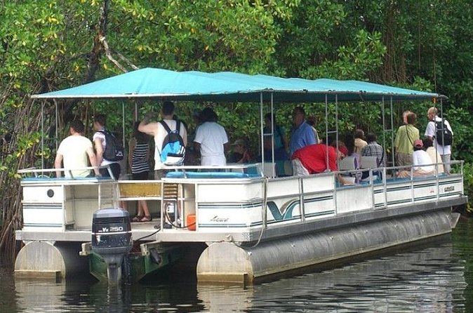 Private Black River Safari Tour from Montego Bay - Who This Black River Safari Suits Best