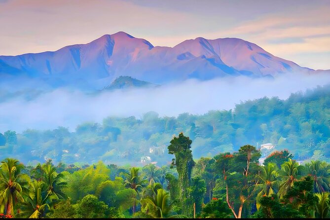 Private Blue Mountain tour from Ocho Rios - Key points to know before you go