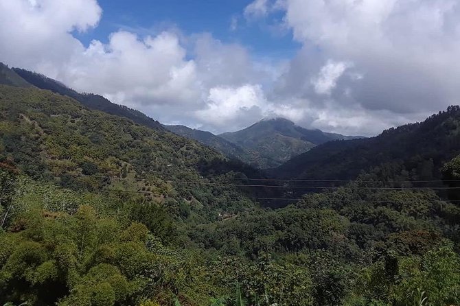 Private Blue Mountain tour from Ocho Rios - The Scenic Drive: Goldeneye, Photo Stops, and Mountain Views on the Way In
