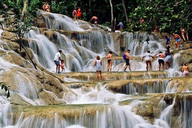 Private Bob Marley 9 mile & DunnsRiverFalls Tour from Montego Bay - Dunn’s River Falls: what the guided climb adds (and how to be smart)
