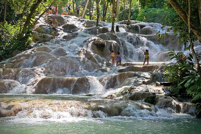 Private BOB Marley's 9miles Tour & Dunn’s River Falls Experience - From Montego Bay to Saint Ann Parish: The Day Starts Early for a Reason
