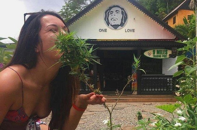 Private Bob Marley's Resting place, Dunn's River and shopping - Who This Tour Fits Best