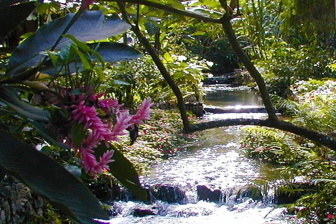 Private Combo Tour From Ocho Rios To Blue Hole & Konoko Falls - Blue Hole: Swimming Mineral Pools, Cliff Jumps, and Rope Swing