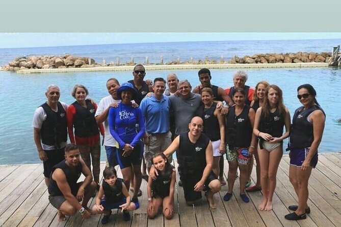 Private Dolphin Cove Adventure - The dolphin swim: what you do, and what to expect