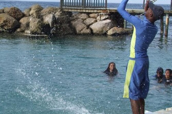 Private Dolphin Cove Adventure - Park exhibits and photos: how to keep expectations realistic