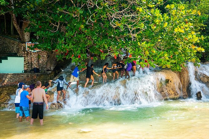 Private Dunn's River Falls Adventure from Montego Bay - Getting to Dunn’s River Falls without the rental-car headache