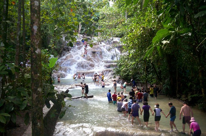 Private Dunn's River Falls Adventure from Montego Bay - Dunn’s River Falls: what your park time is built around