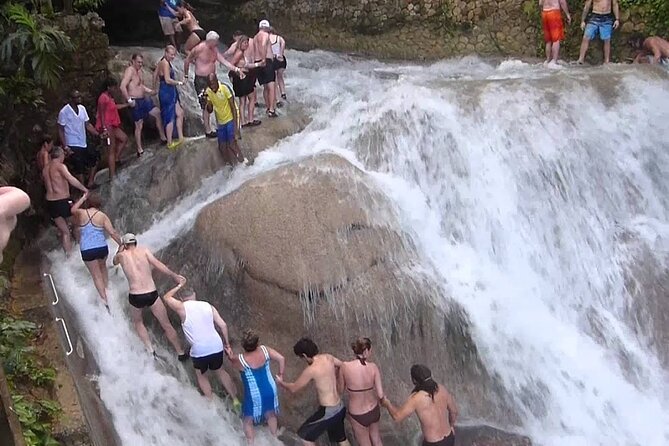 Private Dunn's River Falls Adventure from Montego Bay - Price and value: where the $155.00 per person makes sense