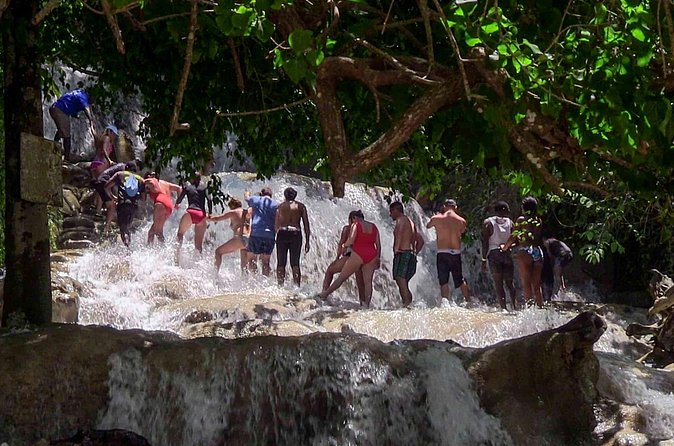 Private Dunn's River Falls from Ocho Rios - Who this tour suits best, and who should think twice