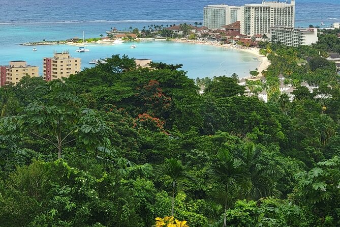 Private Dunn's River Falls, Ocho Rios Sightseeing and shopping - Price and logistics: what $35 covers, and what costs extra
