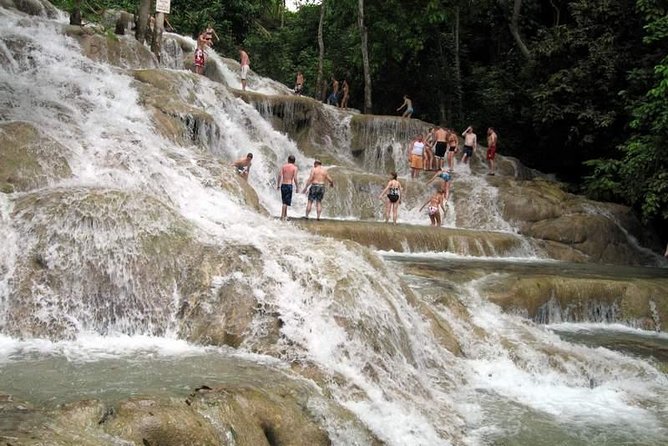[PRIVATE] Dunn's River Falls with Entrance Fees - Getting from Montego Bay to Ocho Rios without the headache