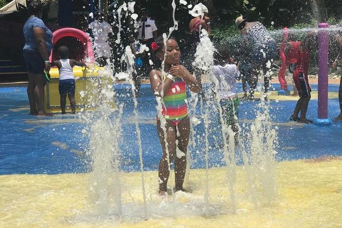 [PRIVATE] Dunn's River Falls with Entrance Fees - Who this tour fits best, and who should think twice