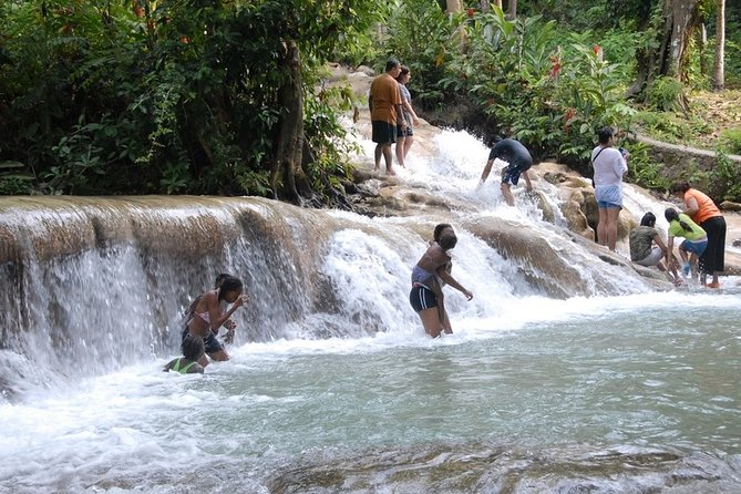Private Dunns River Falls and Beach Break Excursion from Falmouth - What the Falls Park Stop Means for Your Day