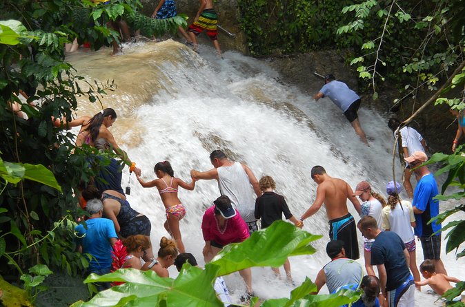 Private Dunns River Falls and Beach Break Excursion from Falmouth - Who This Tour Fits Best