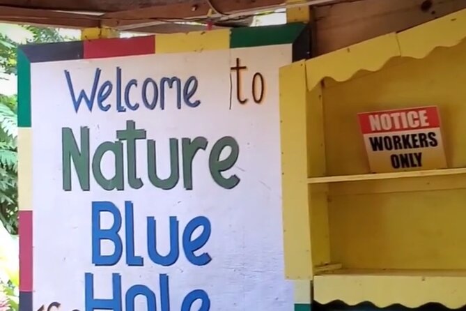 Private Dunns River Falls and Blue Hole from Montego Bay Tour - Timing the Day: Opening Hours and Practical Pacing