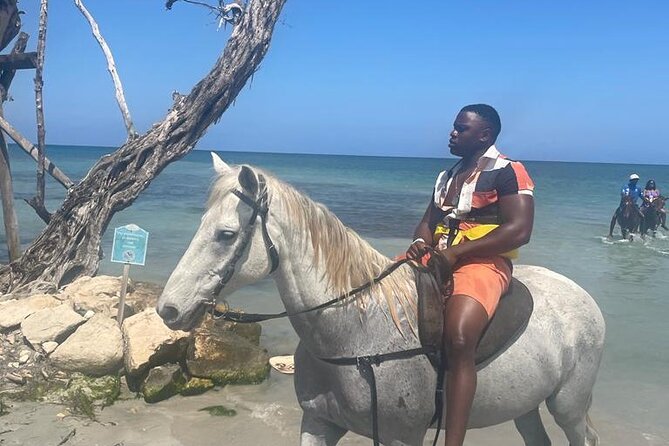 Private Dunns River Falls and Horse Back Riding - Key highlights