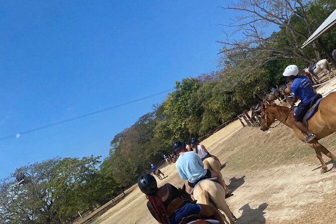 Private Dunns River Falls and Horse Back Riding - From Montego Bay to Ocho Rios, without the headache