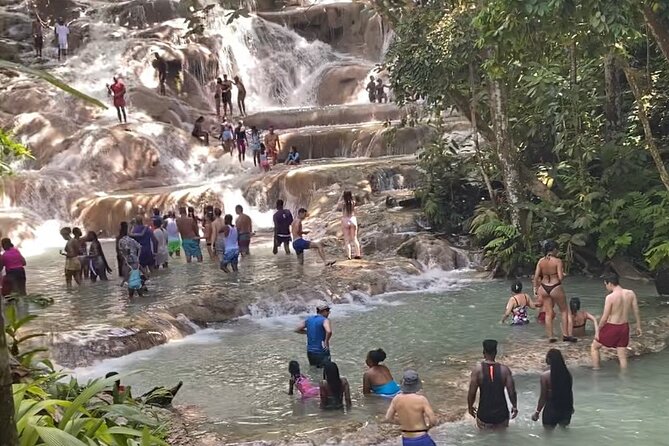 Private Dunns River Falls and Horse Back Riding - The in-between details that make the falls stop feel worth it