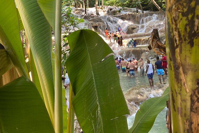 Private Dunns River Falls and Horse Back Riding - Saint Ann Parish horseback riding: choose your horse, name it, and ride