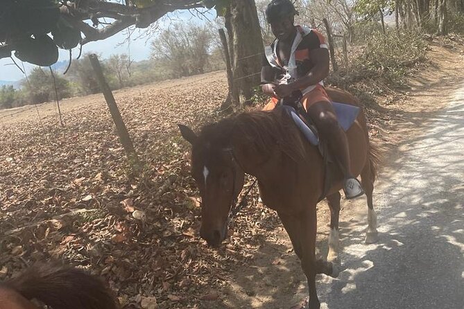 Private Dunns River Falls and Horse Back Riding - Your pickup day: bottled water or champagne, plus scenic pauses