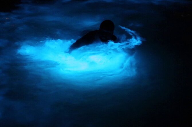 Private Guided Night Tour of Luminous Lagoon in Montego Bay - Key highlights at a glance