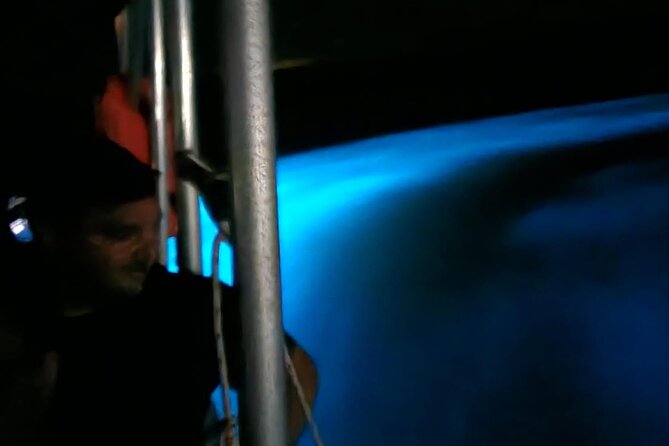 Private Guided Night Tour of Luminous Lagoon in Montego Bay - Falmouth and Jamaican culture along the drive