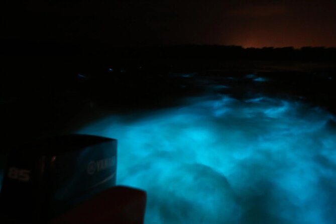 Private Guided Night Tour of Luminous Lagoon in Montego Bay - Luminous Lagoon at night: boat time, optional swim, and best moments