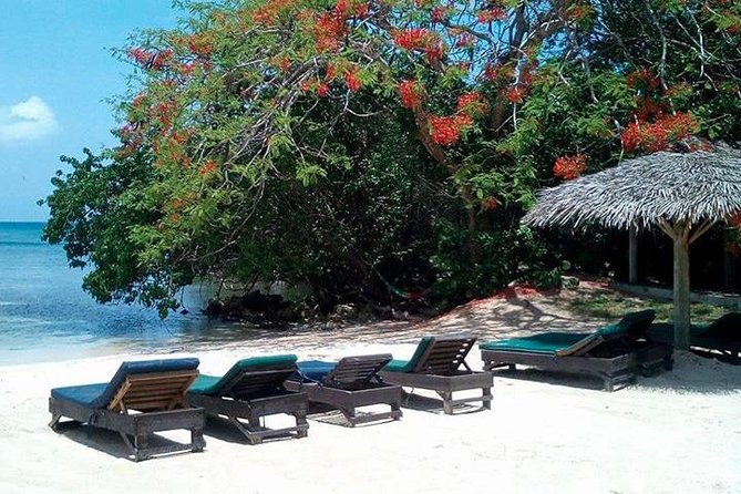 Private Half Moon Beach Tour from Montego Bay - Getting There From Montego Bay Without The Headaches
